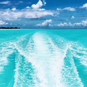 Honda Outboard Hydrofoils